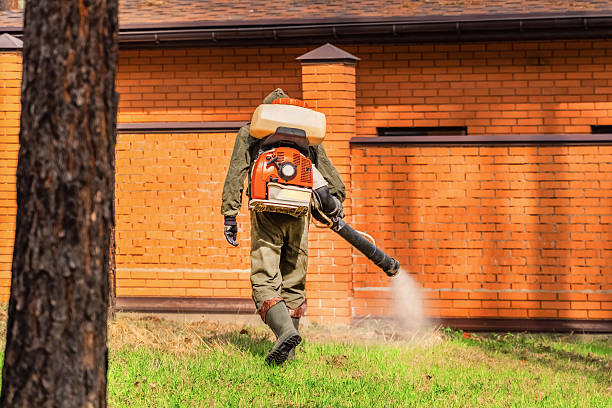Trusted Mosquito Control service in Watertown, FL - Nex Pest Control